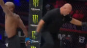 video-knee-to-the-head-the-frenchman-knocked-out-the-jpg