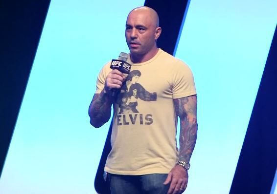 Joe Rogan (MMA Fighting)