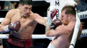 el-experto-explico-por-que-canelo-no-debe-apresurarse-a-jpg