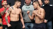 UFC wprowadzi tymczasowy tytuł wagi muszej