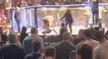 video-fan-tries-to-rush-the-octagon-at-ufc-274-png