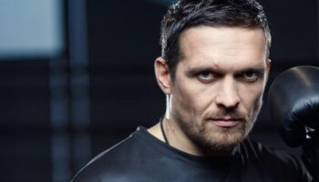 bilde-av-usyk-i-bassenget-svom-som-en-hai-stikk-jpg