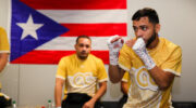 puertoricaner-lomachenko-schlug-den-ex-weltmeister-im-eliminator-video-jpg