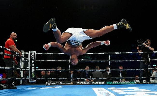 joyces-alternativ-for-hosten-du-kommer-att-alska-alla-jpg