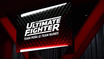 results-of-the-ultimate-fighter-30-laura-gallardo-against-brogan-jpg
