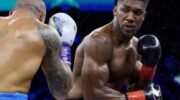 fury-to-offer-joshua-a-fight-warren-named-more-sane-jpg