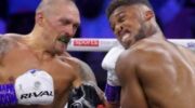 nelson-on-joshua-fury-and-usyk-fans-have-short-memories-jpg