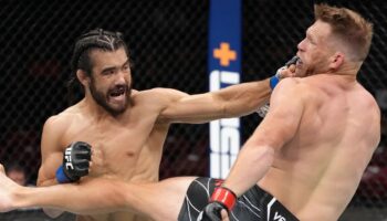 ufc-san-diego-video-by-josh-quinlan-a-stunning-one-punchko-jpg