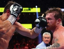 im-still-a-champion-guys-and-canelo-is-a-real-jpg