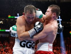 the-reaction-of-the-boxing-public-to-canelos-victory-over-jpg