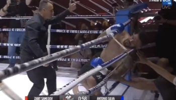 video-bigfoot-silva-is-knocked-out-during-a-kickboxing-match-png