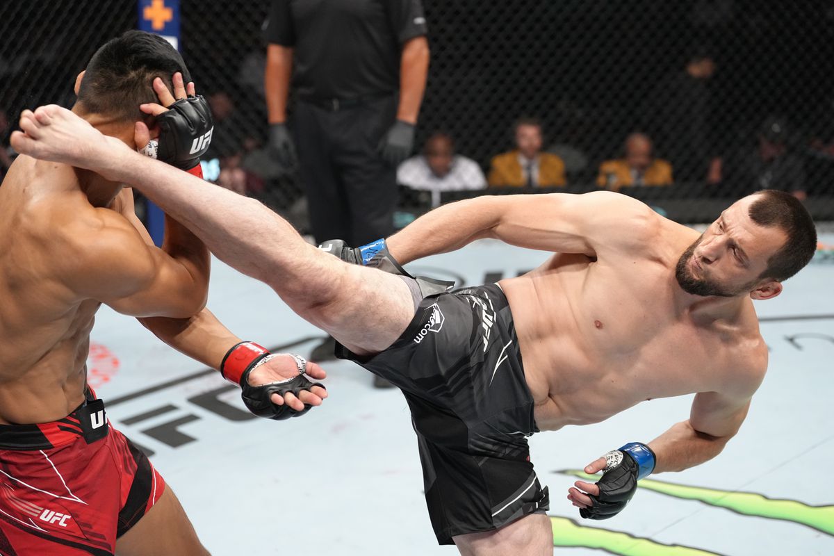 UFC Fight Night: Li gegen Salikhov
