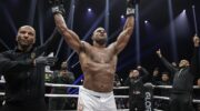 Alistair Overeem defeated Badr Hari