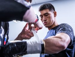 shot-of-the-day-bivol-had-a-duel-of-views-jpg