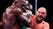 the-head-of-the-wbc-predicts-usyk-joshua-3-and-fury-wilder-jpg