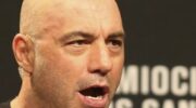 touch-of-death-wilder-is-the-most-impressive-puncher-in-jpg