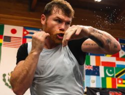 better-than-expected-canelo-alvarez-on-recovery-after-surgery-png