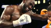 crawford-is-going-to-knock-out-avanesyan-jpg