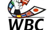 the-wbc-rating-has-been-updated-13-russians-left-the-png