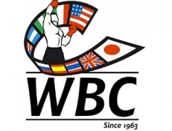 the-wbc-rating-has-been-updated-13-russians-left-the-png