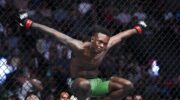 ufc-281-predictions-jpg