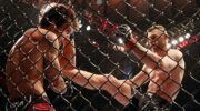 ufc-281-results-dan-hooker-gets-back-on-track-with-jpg