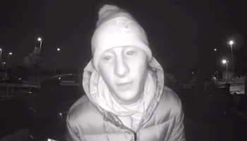 video-paddy-pimblett-has-an-unfortunate-dog-incident-in-his-png