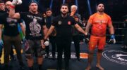 Vladimir Mineev knocked out Fernando Rodriguez