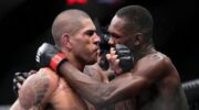 UFC 281. Results of all fights of the tournament