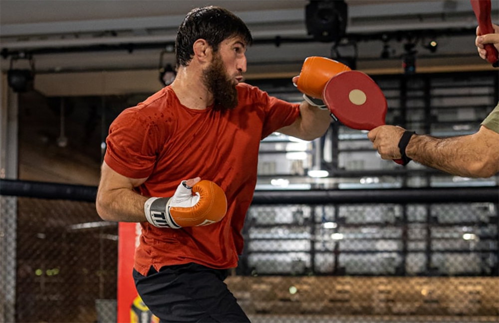 Magomed Ankalaev: „Wir nehmen uns, was uns gehört!“