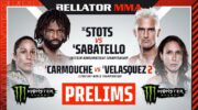 video-stots-qualifies-for-bellator-grand-prix-by-defeating-sabatello-jpg