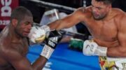 does-dubois-have-a-chance-to-beat-usyk-joyce-talks-jpg