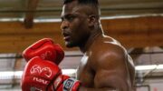 Named the likely opponent of Francis Ngannou in boxing