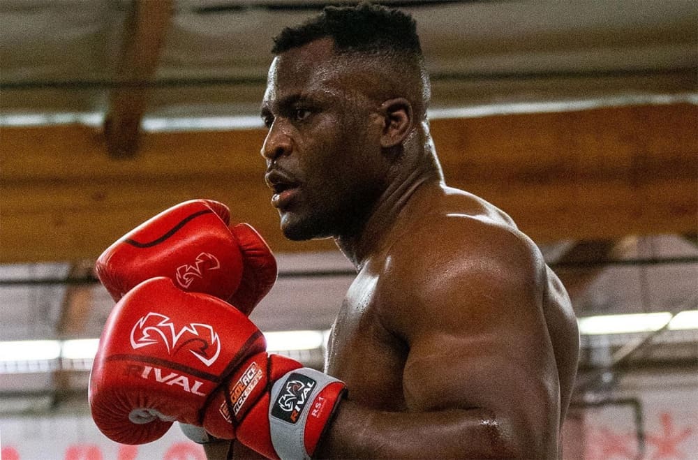 Named the likely opponent of Francis Ngannou in boxing