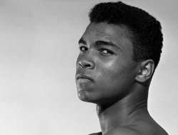 top-5-best-boxers-of-all-time-according-to-roy-jpg