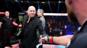 when-fists-are-bad-whites-stunt-sends-ufc-stock-down-jpg