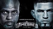 Anthony Pettis vs Roy Jones Jr