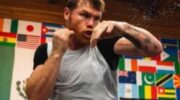 canelo-is-very-worn-out-its-almost-the-end-of-jpg