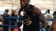 could-wilder-have-his-next-fight-at-the-hearn-show-jpg