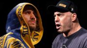 Joe Rogan spoke about the defeat of Vasily Lomachenko