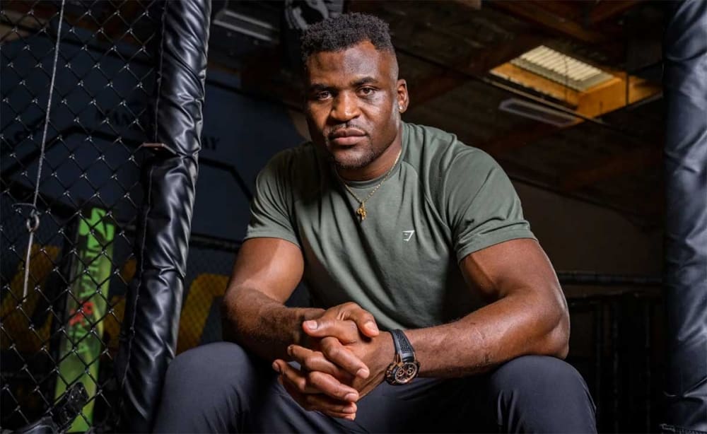 Francis Ngannou gab eine offizielle Erklärung zu seiner zukünftigen Karriere ab