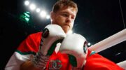 Canelo Alvarez's next opponent named
